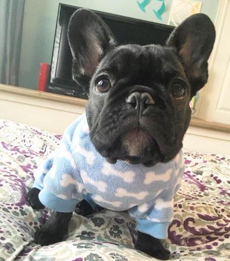 13709875_10153822965708553_8295641874782463190_n